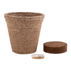 Kit cultivo con maceta biodegradable publicitaria